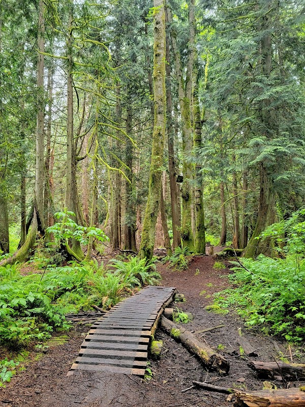 Japanese Gulch Conservation Area
