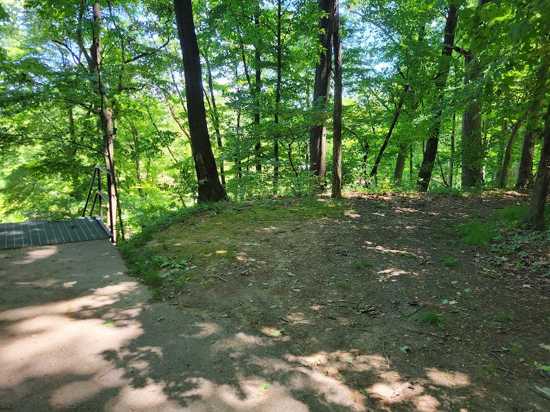 Steps to Wildlife Way