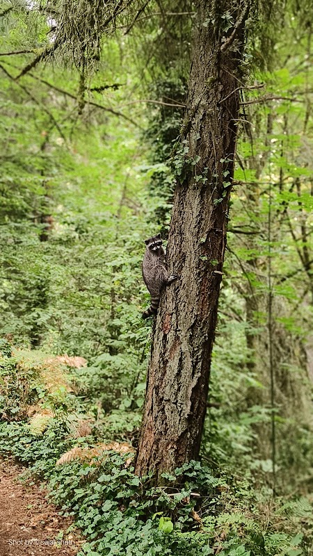 Sunset Ravine Trail Start Point