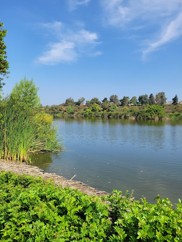 Guajome Park Lower Picnic Area