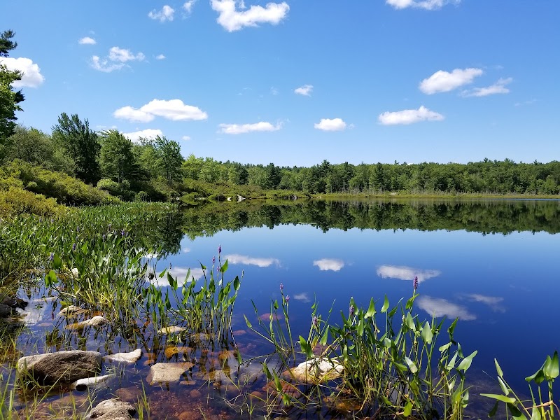 Ashburnham State Forest