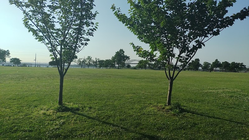 SunsetBasketballLeague