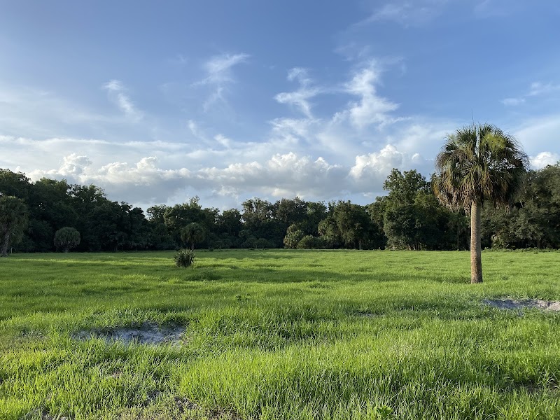 Hickory Swamp Preserve