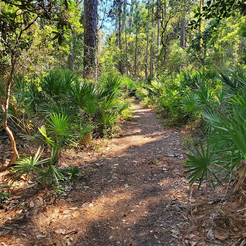 Oak Tree Nature Preserve