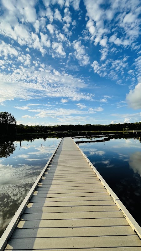 Observation Platform 1