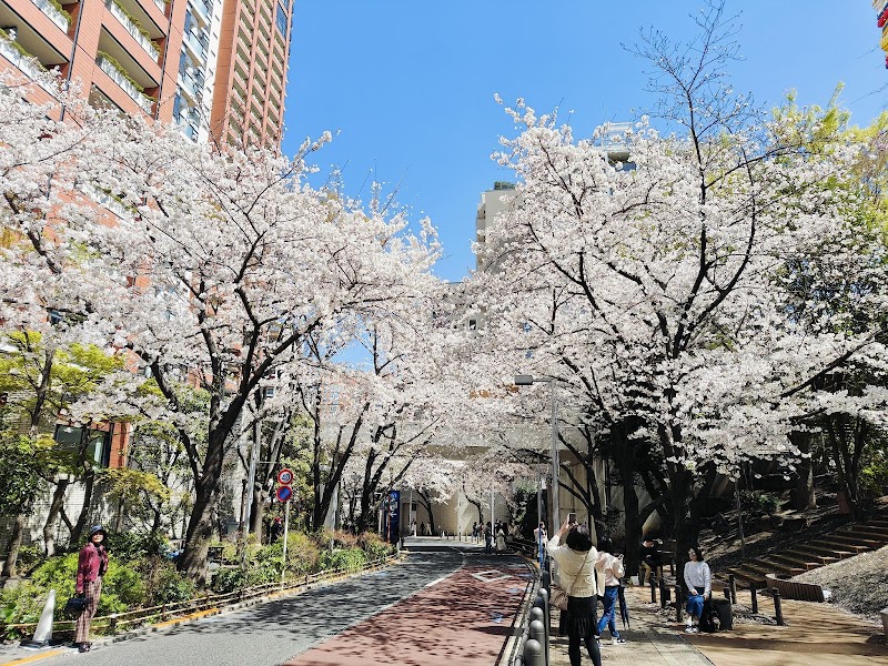 Sakurazaka Park