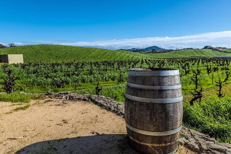 Ridge Vineyards - Lytton Springs