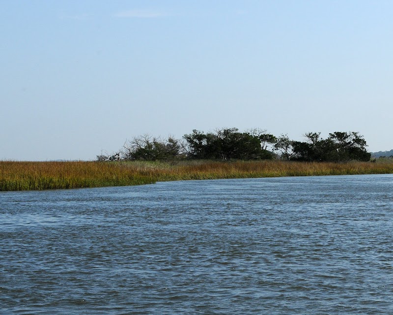 Wassaw National Wildlife Refuge