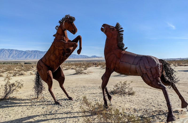Galleta Meadows Horses