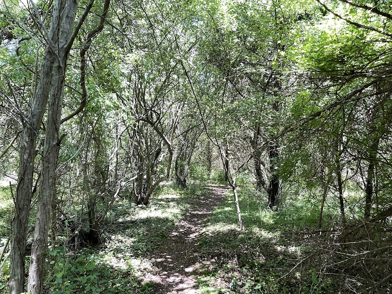 Froehlich Farm Preserve Trailhead