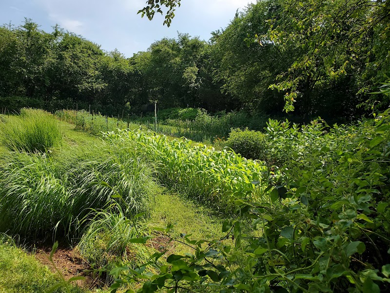 Froehlich Farm Preserve Trailhead