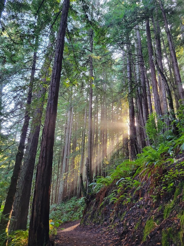 Grabtown Gulch Trailhead