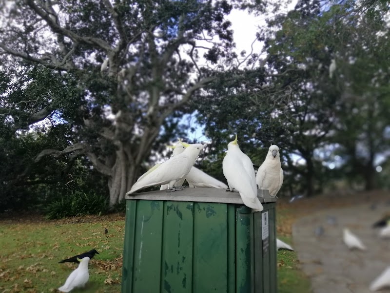 Turramurra Village Park