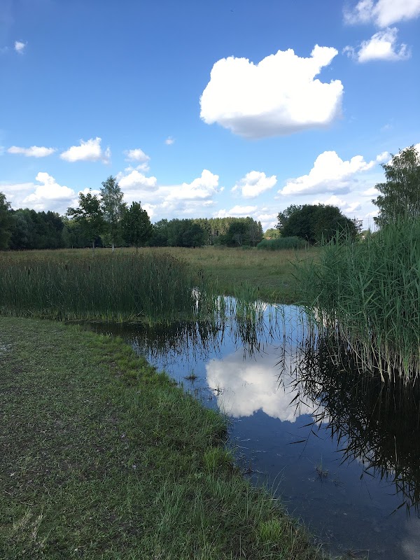Froschweiher Aubing