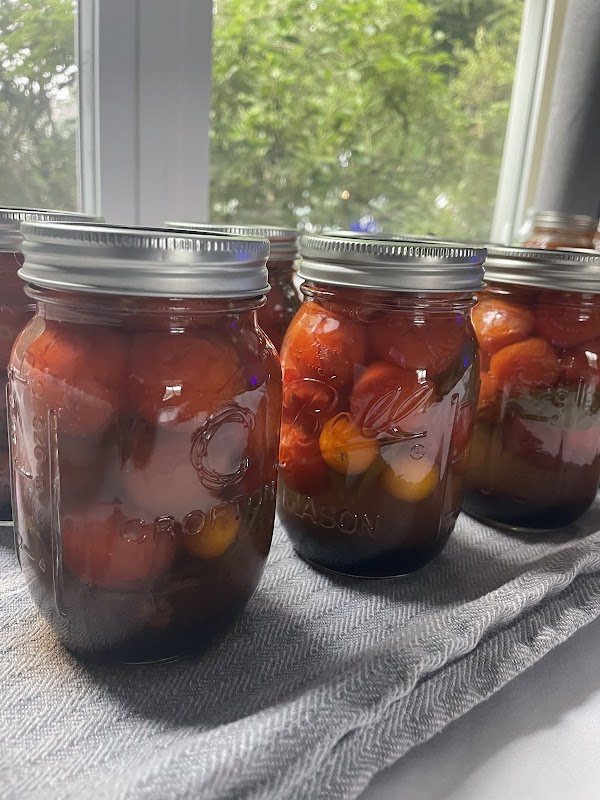 This Little Life Of Mine