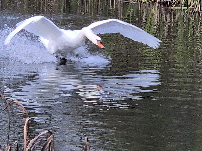Lee Valley Regional Park Authority