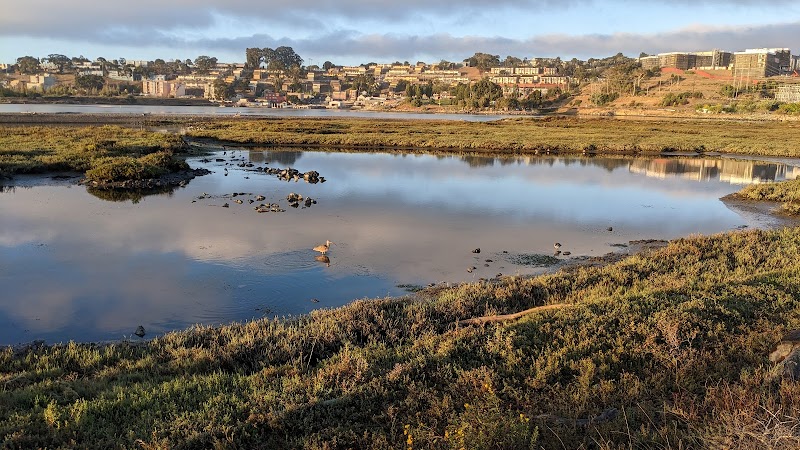 Heron's Head Park - Nature Exploration Area