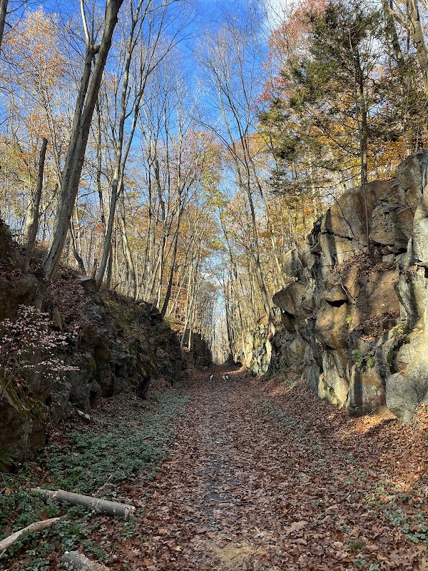 Larkin State Bridle Trail