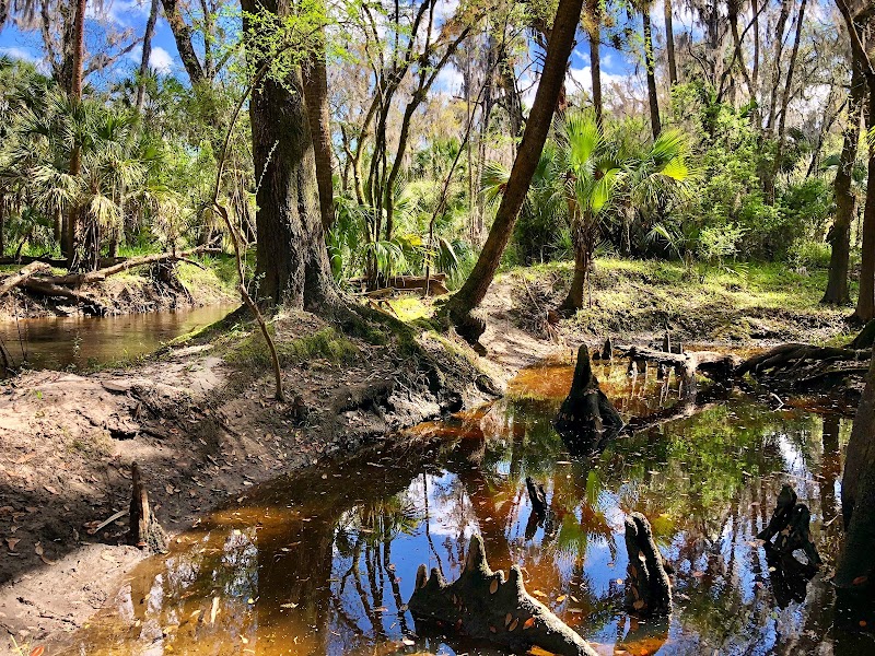 Alafia River Corridor Nature Preserve - North
