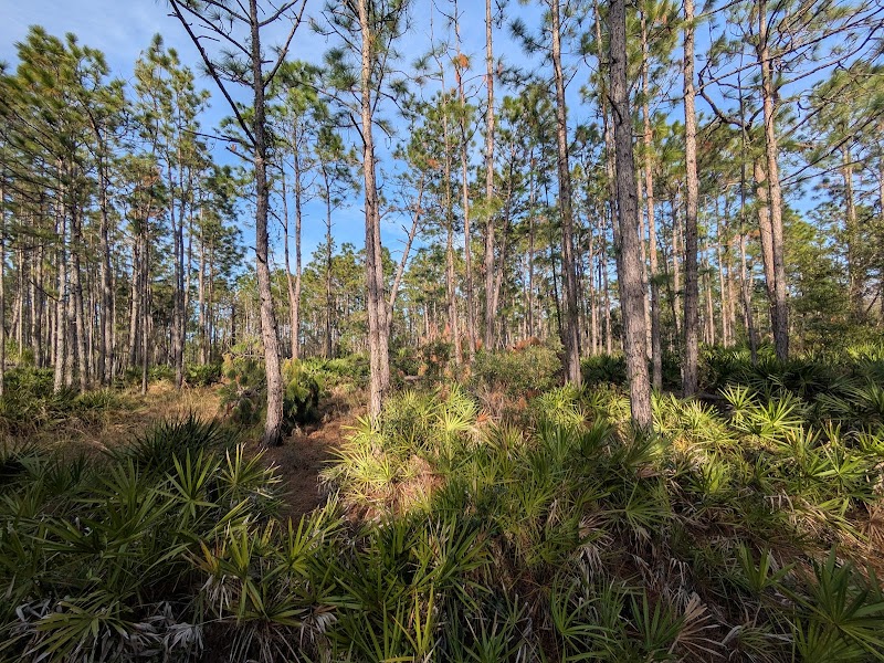 Brooker Creek Headwaters Nature Preserve
