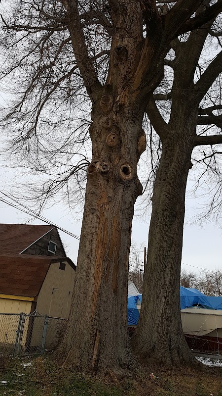 James Pentimall Park