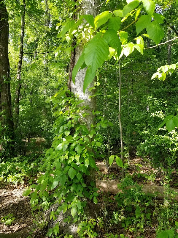 Iswa Nature Preserve