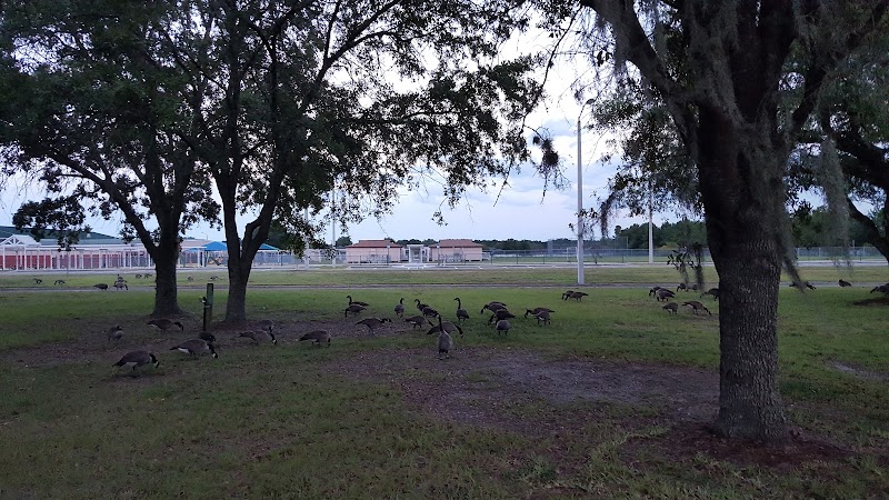 The Green at the Village Center
