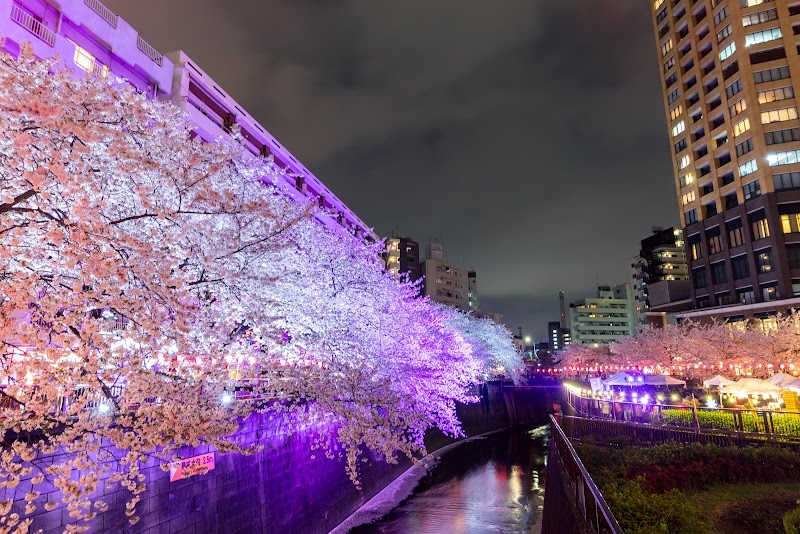 Meguro River