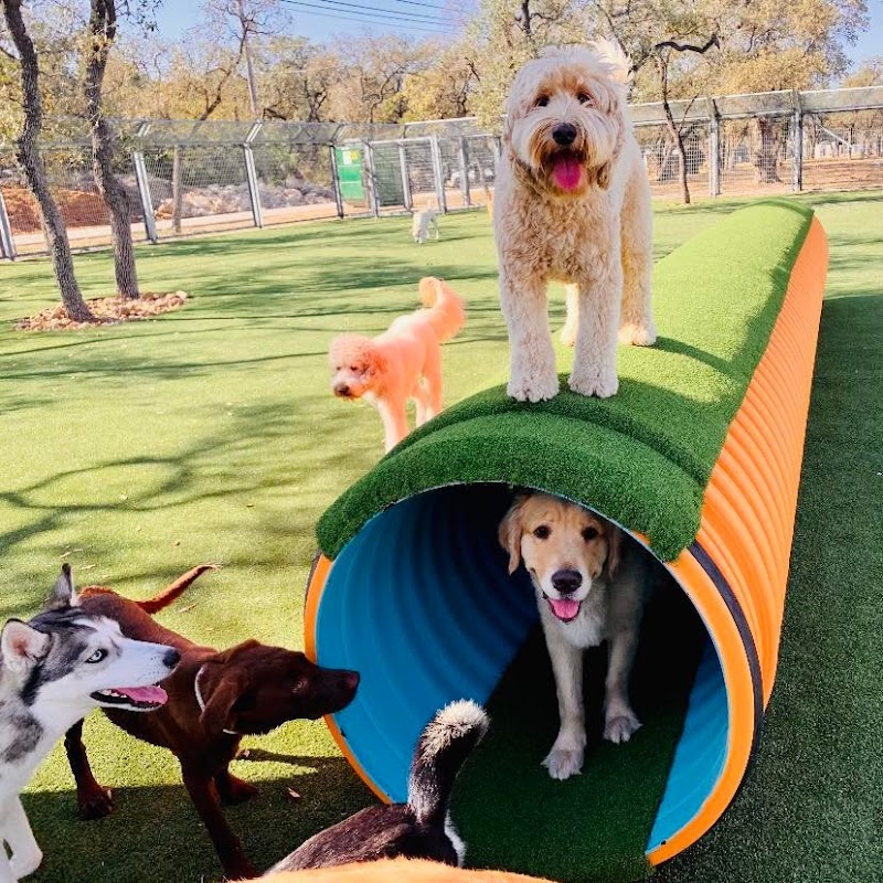 Lucy's Doggy Daycare and Spa