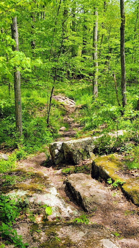 Kelley Memorial Preserve