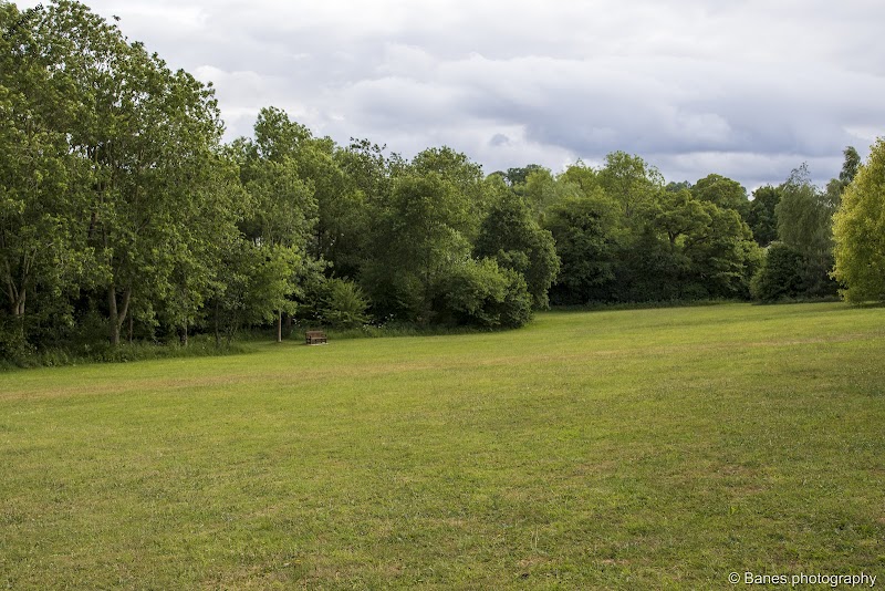 Rectory Fields, Chew Stoke