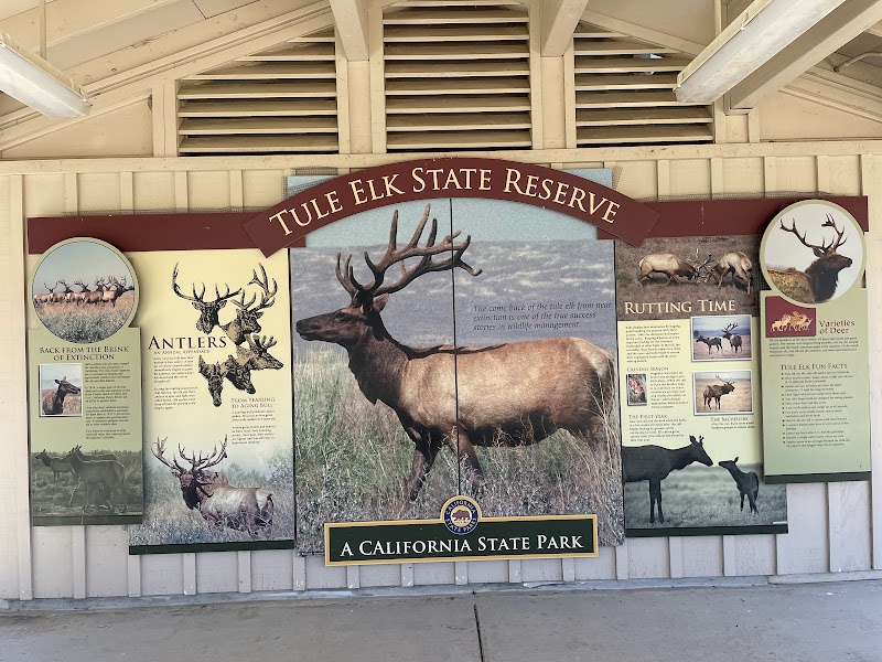 Tule Elk Reserve State Natural Reserve