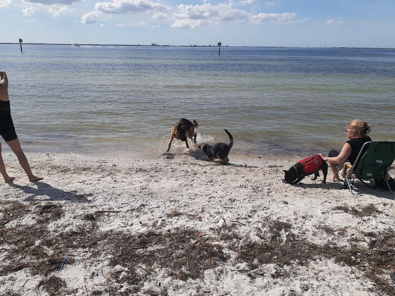Dog Beach at Picnic Island Park