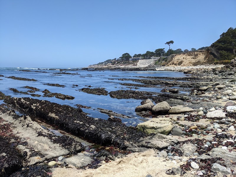 J V Fitzgerald Marine Reserve