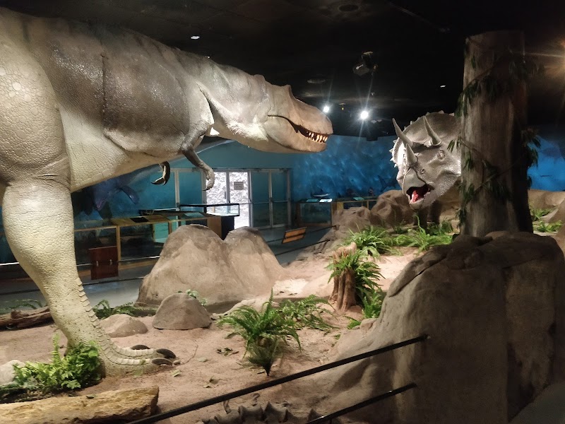 Las Vegas Science & Natural History Museum