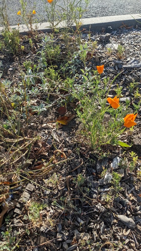 Yepunash MiniNature Reserve