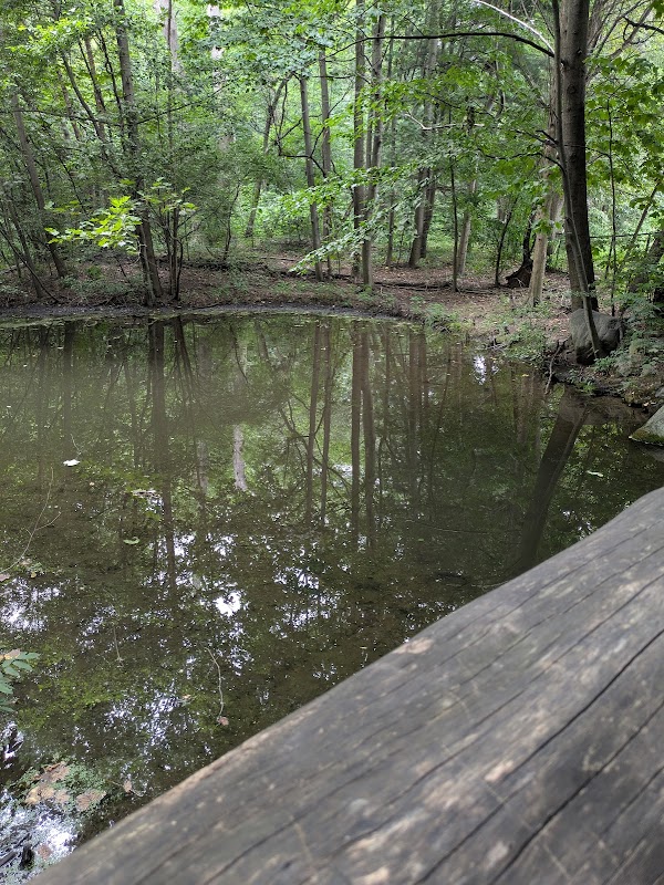 Prospect Park Waterfall