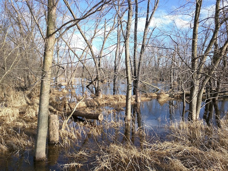 Forest Preserves of Cook County