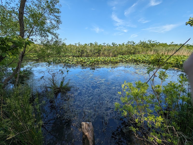 Walter S. Commerdinger, Jr. County Park