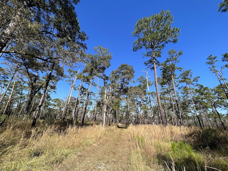 Big Pine Environmental Area