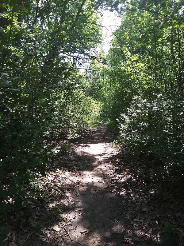 Nike Missile Base Park, Site D-87