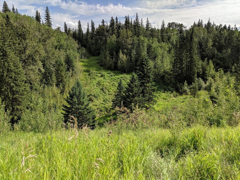 Wedgewood Ravine