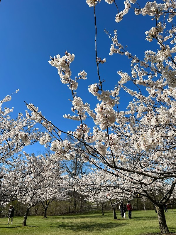 Cleveland Metroparks Meadow Ridge Picnic Area
