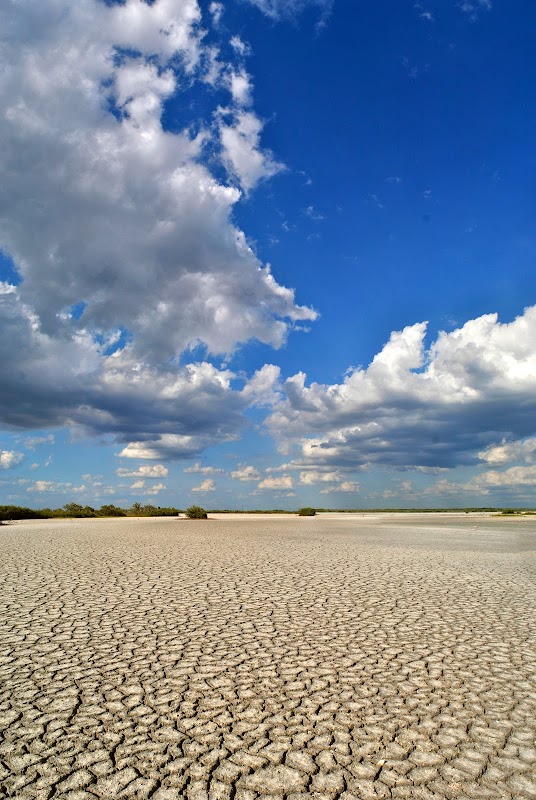 Estero Bay Preserve State Park