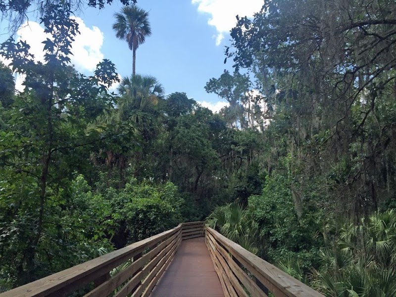 Lake Harney Wilderness Area