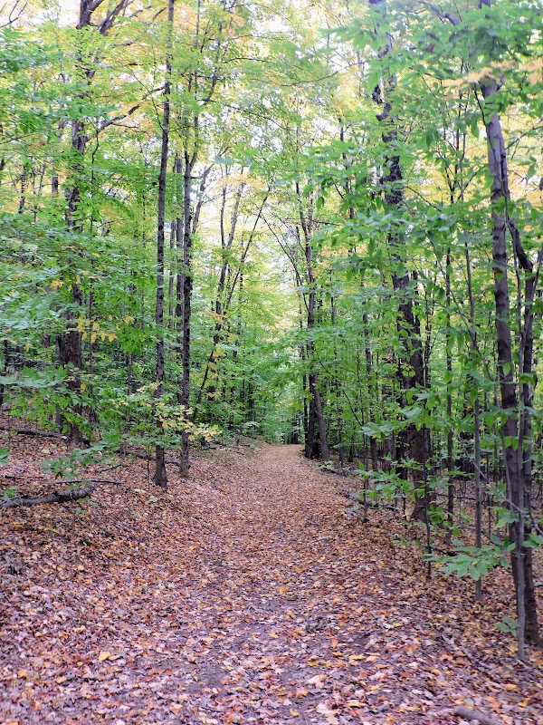 Walnut Mountain Park