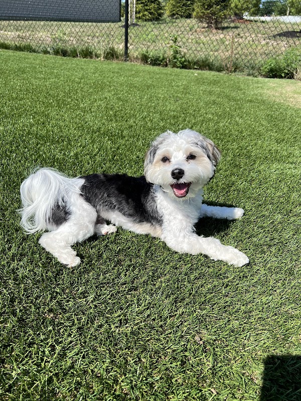 The Gables Dog Park (Private)