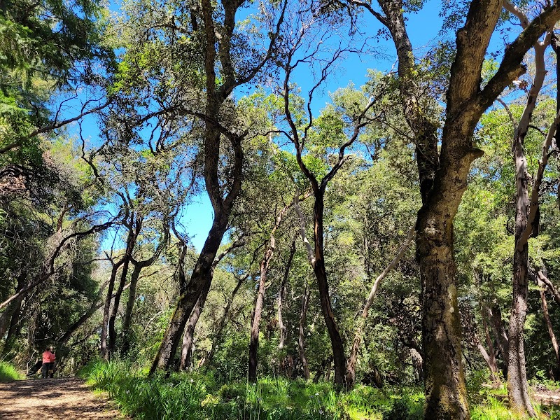 Teague Hill Open Space Preserve