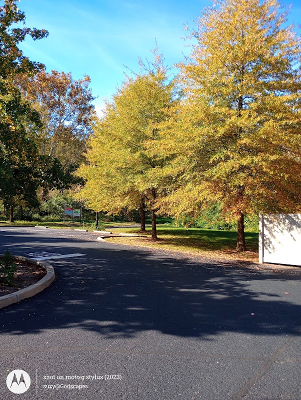 Schuylkill Trail Park