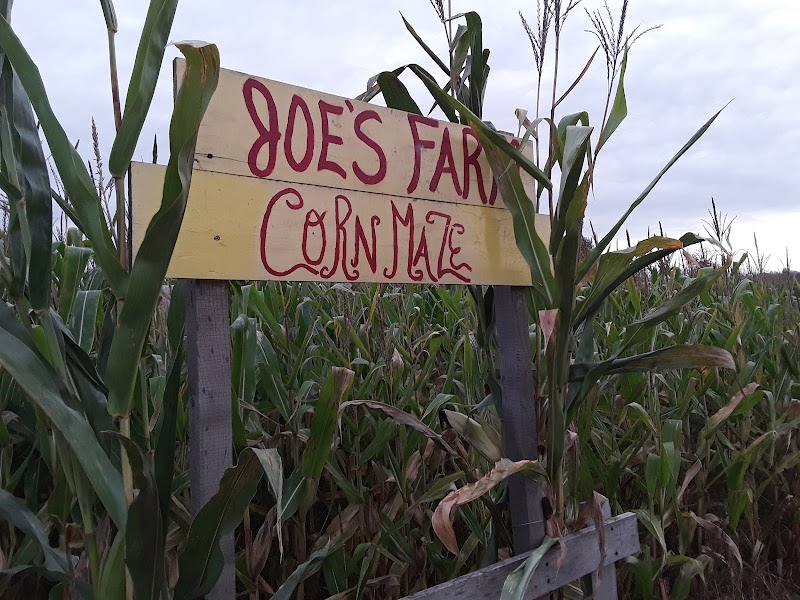 Joe's Farm
